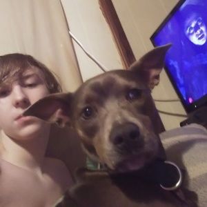 Meet your Posher, Brandon